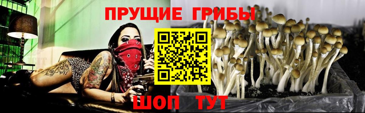 Псилоцибиновые грибы GOLDEN TEACHER  Вход с VPN  Каспийск 